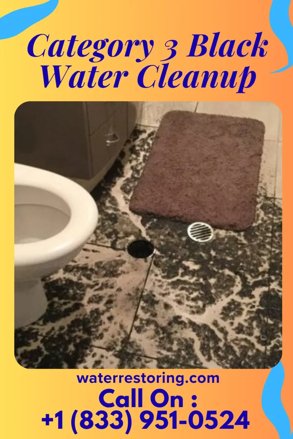 Category 3 Black Water Cleanup in Kirwin, KS