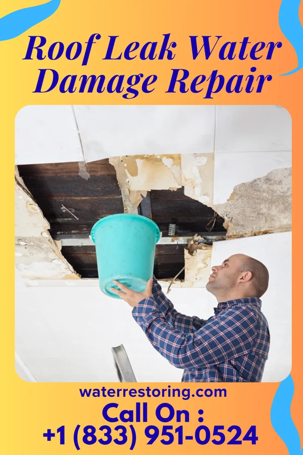 Roof Leak Water Damage Repair in Kirwin, KS