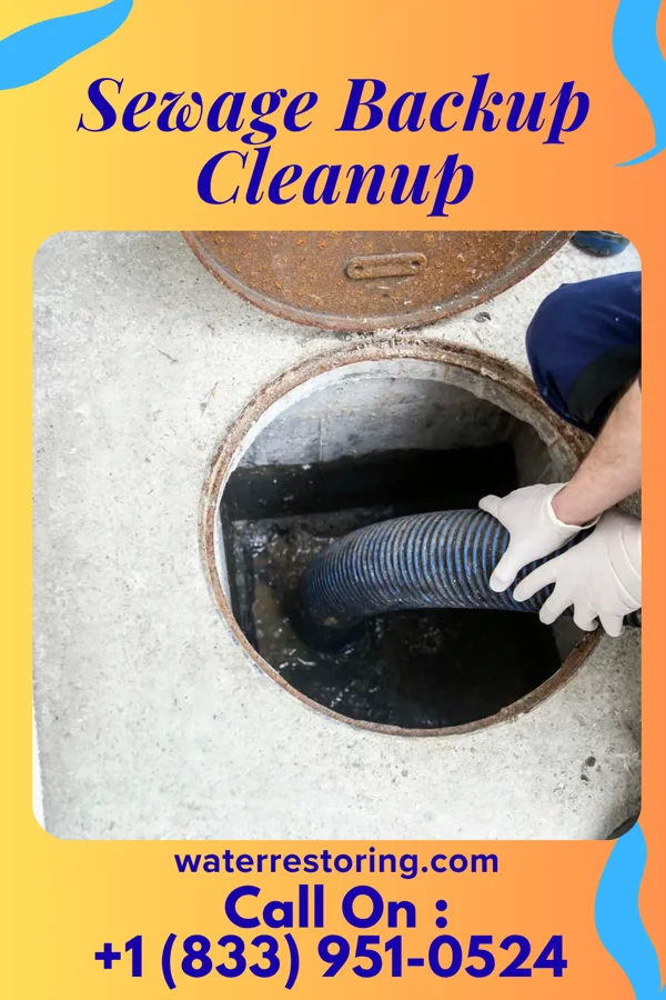 Sewage Backup Cleanup in Kirwin, KS